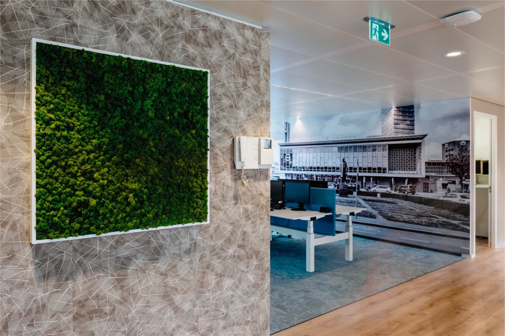 Naturtapete und Moosbild in einem Verwaltungsgebäude