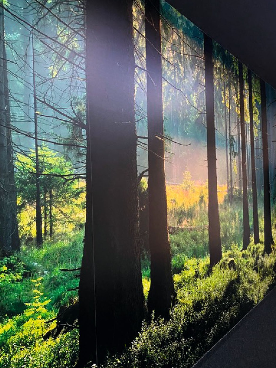 Wallgraphic im Büro